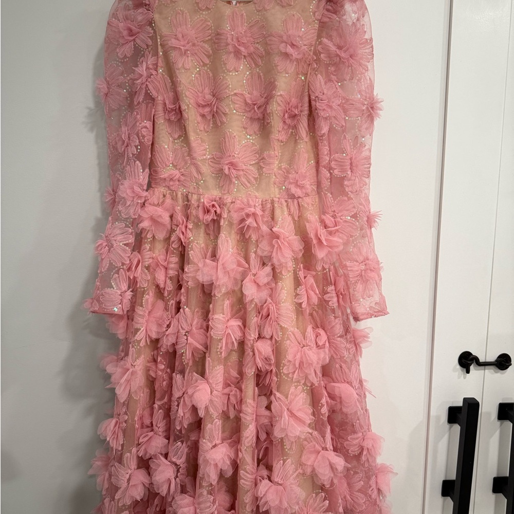 Pink Ruffled Embellished Maxi Gown
